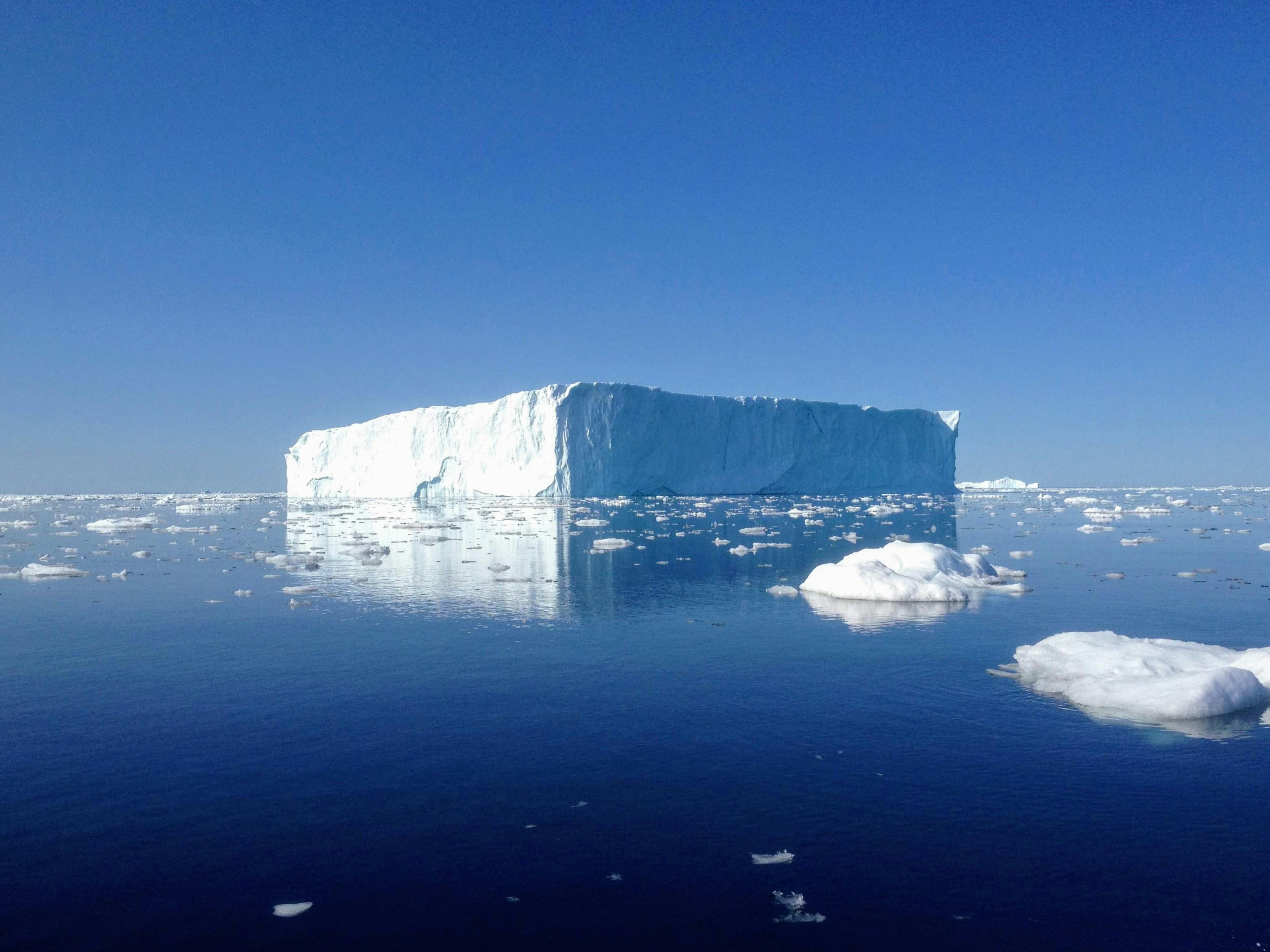 Iceberg